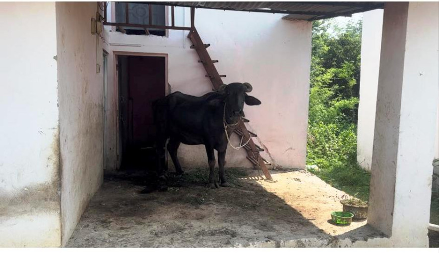 प्रयोगमा नआइ खण्डहर बन्दै तीन करोडको दलित आवास भवन 